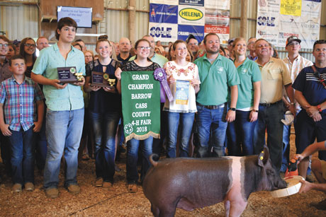 stoney pike livestock logansport in